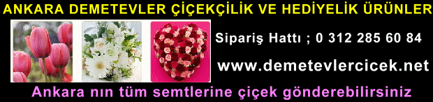 Ankara demetevler �i�ek�iler