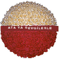 Ankara Aya� �i�ek�i firmam�zdan An�tkabir i�in �i�ek �elenk modeli