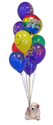 13 adet balon ve k���k pelu� ay�c�k