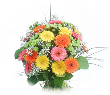 Ankara Aya� Demetevler �i�ek�i firma �r�n�m�z kar���k gerbera mevsim �i�ek buketi
