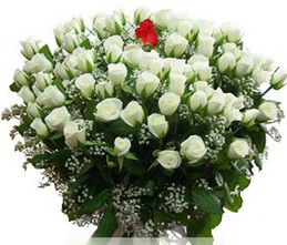100 adet beyaz 1 adet kirmizi g�l buketi