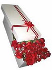 Ankara Aya� de farkl� bir �i�ek firmas� �r�n�  G�rsel �i�ek sunumu 11 adet k�rm�z� g�l